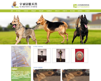 集團網站建設